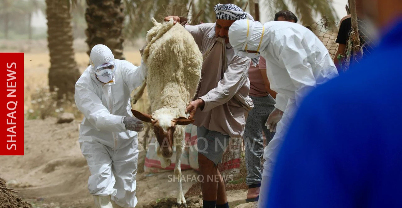 صحة كوردستان تسجل أول إصابتين بالحمى النزفية لهذا العام