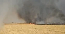 نائب محافظ نينوى: حرائق الأراضي الزراعية أشعلها فلاحون بعد الحصاد