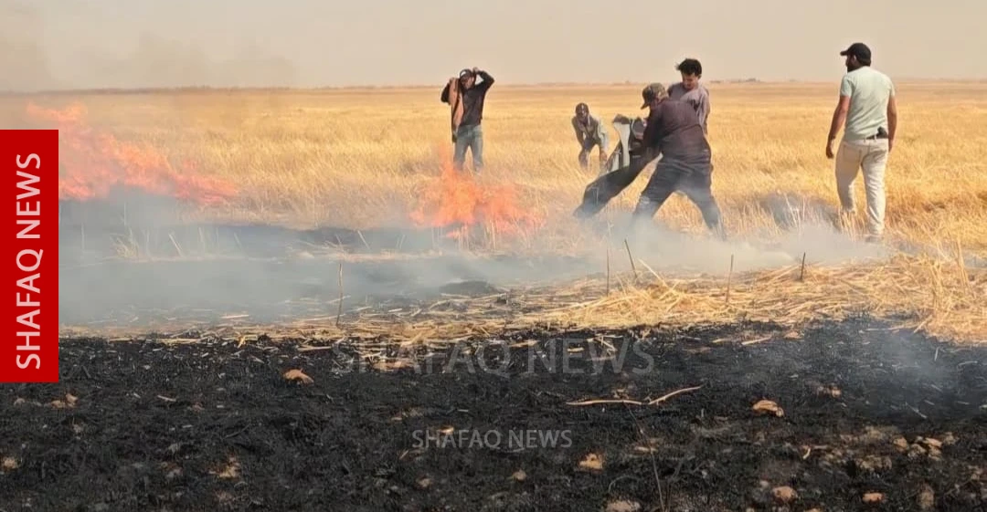 Haseke'nin kuzeydoğusunda çıkan yangınlarda 5 bin dönüm tarım arazisi
