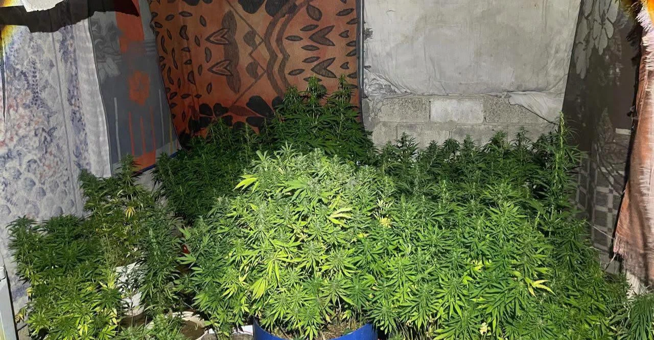 Ürdün'de uyuşturucu operasyonu: 9 kişi gözaltına alındı