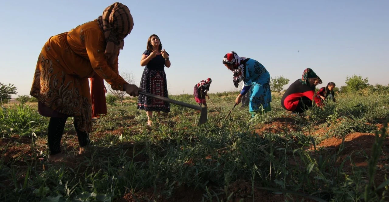 Jinwar: Syria's women-only village rebuilding lives after war