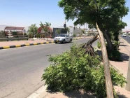 ‏شارەزایگ کەشناسی هوشیاری لە وای تونیگ دەێد ئەرا هەرێم کوردستان