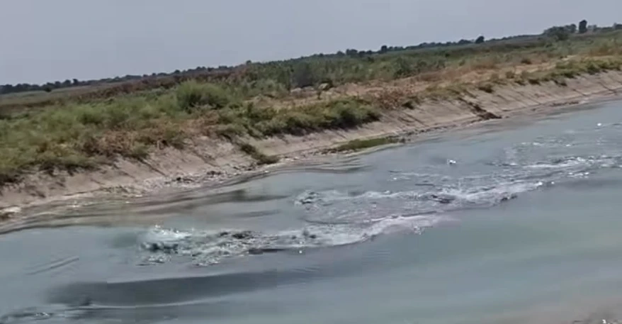 حوت في صلاح الدين.. فيديو متداول وتوضيح تقني يكشف الحقيقة