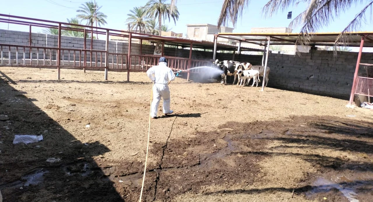 ‏تەندروسی نەينەوا تویشهاتن نوویگ وە تەو خوینوەربوین ژنیگ توومارکرد لە تەلەعفەر