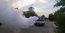 حر الصيف يطلق "غزو الحشرات" في ديالى.. إصابات جلدية ومطالبات بخطة إنقاذ شاملة