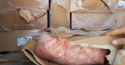 الزراعة العراقية تحذر من شحوم مهربة تُستخدم بصناعة مستحضرات التجميل
