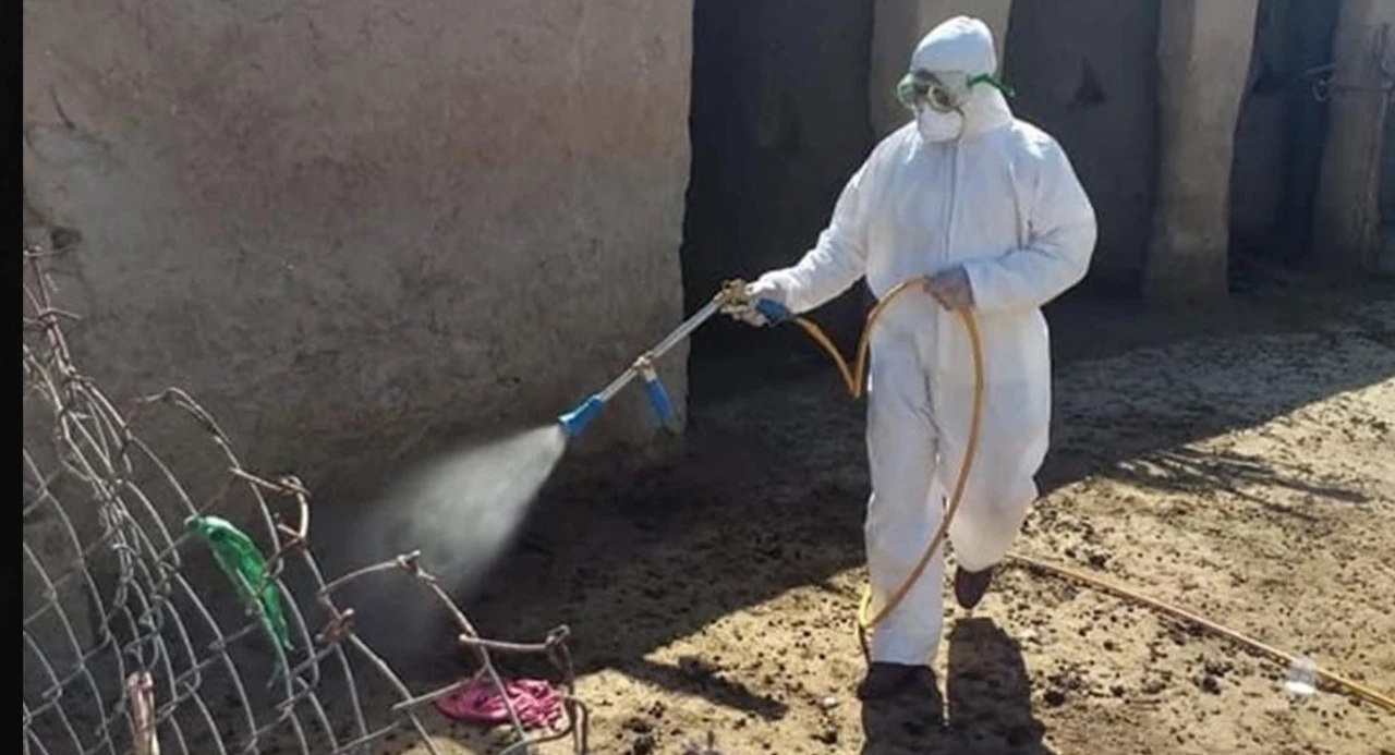 Nineveh records new hemorrhagic fever case in Mosul