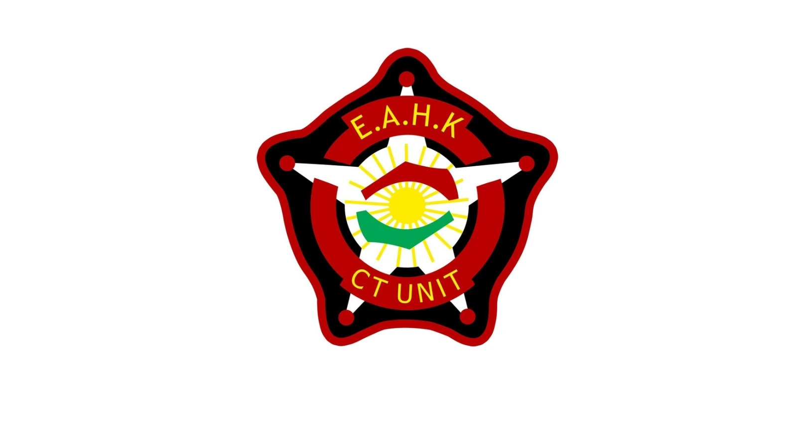 Eight drones shot down over Erbil