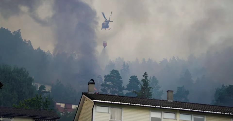 Norveç'te orman yangını: 100'den fazla ev yandı.