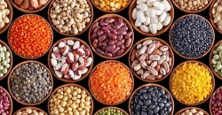 Turkiye's grain exports to Iraq hit $702M in H1