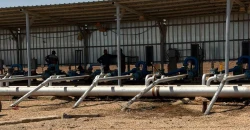 Iraq revives T1 oil station in Al-Anbar after two decades offline