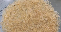Rice leads India's $545M exports to Iraq in Q1