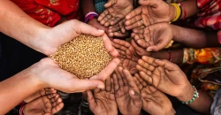 الجوع العالمي يتراجع للسنة الثالثة على التوالي