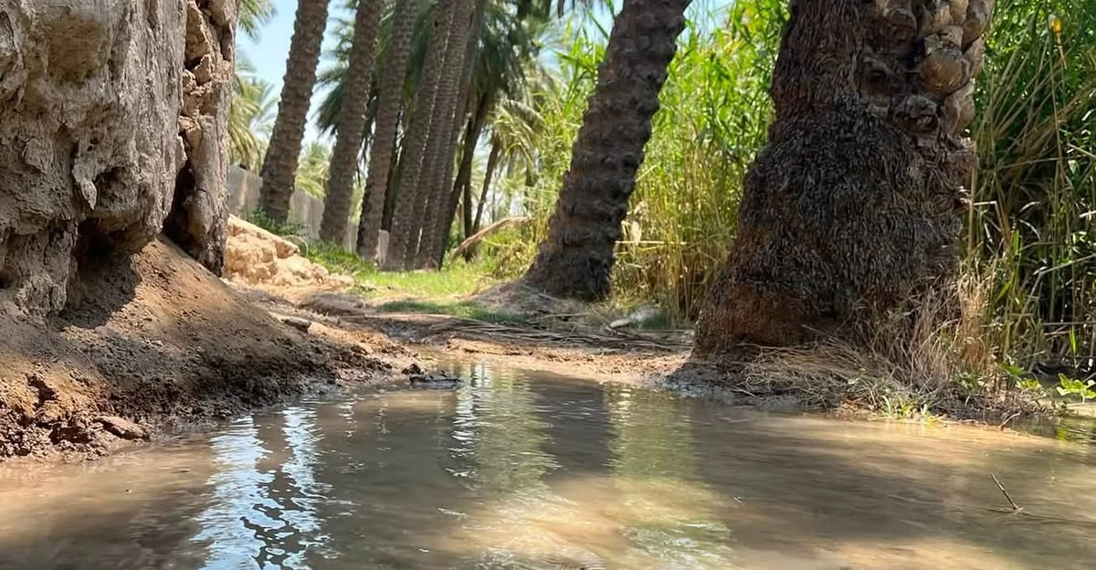 Diyala'deki Mendeli bahçeleri 25 yıl sonra yeniden suya kavuştu.