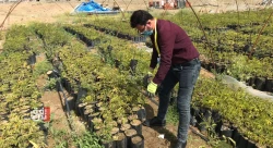 Iraq ranks 15th in Arab food security index for 2026