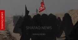وفرة غذائية وأسعار مستقرة.. زراعة كربلاء جاهزة لاحتياجات زائري الأربعين