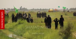 Green route leads Arbaeen pilgrims toward Karbala