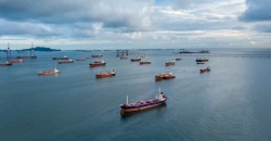 First Qatari LNG tanker exits Hormuz after three-week pause