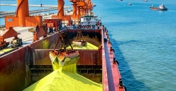 بسبب هرمز.. أسعار الكبريت تقفز 134% وتهدد أمن الغذاء العالمي
