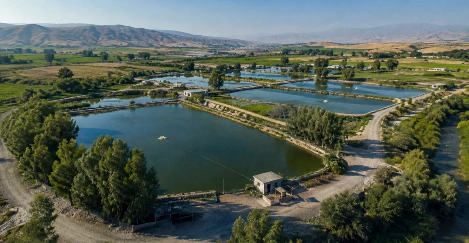 Al-Sulaymaniyah cracks down on unlicensed fish farms