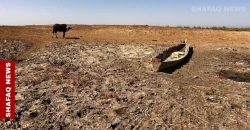 Desertification threatens over half of Iraq’s land