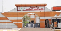 "بيع سيارات" يؤدي لسحب يد والتحقيق مع 3 مسؤولين في صحة الديوانية (وثيقة)