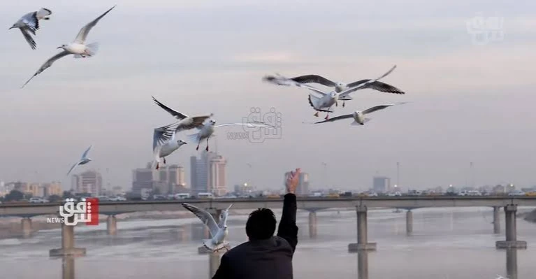 العراق.. انخفاض متوقع بدرجات الحرارة بعد منتصف آب
