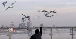 العراق.. انخفاض متوقع بدرجات الحرارة بعد منتصف آب