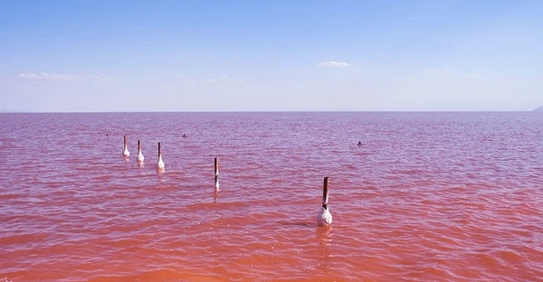 İran'da Urmiye Gölü'nün suları pembe ve kırmızıya döndü