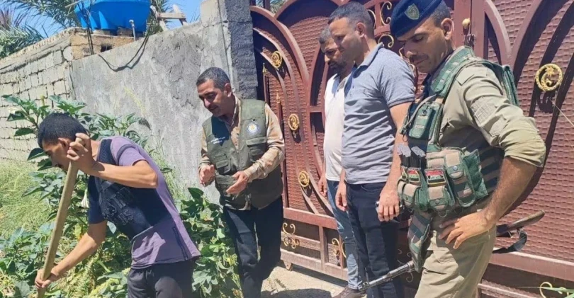Authorities destroy 73 Datura plants in Diyala