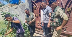 Authorities destroy 73 Datura plants in Diyala