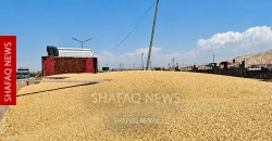 محافظ كركوك: صرف 49 مليار دينار من مستحقات الفلاحين الأسبوع المقبل