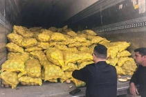 $50M+ potato imports expose Iraq’s production gap