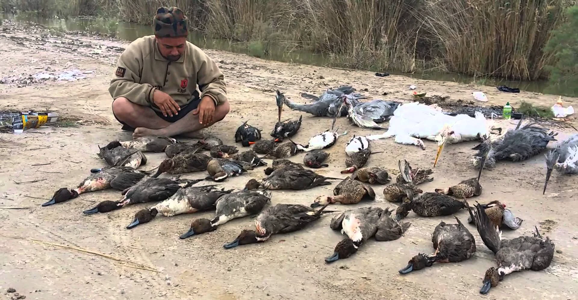 Poaching Threatens Wildlife in Salah al-Din’s Balad District