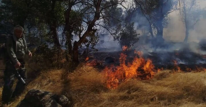 Forest fires spread in Iran's Ilam province, challenge response teams