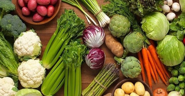 Iran's Darrashahr emerges as vegetable production hub in Ilam Province