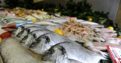 Brazil exports to Iraq drop $125M in Q2