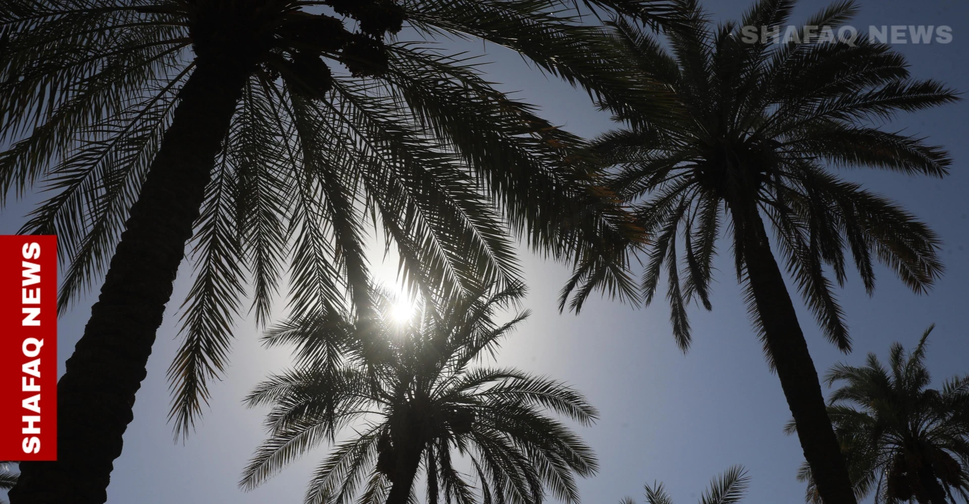 حظر ودعم.. خطة عراقية لتعزيز المنتج المحلي