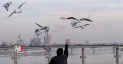 تبدأ غداً.. كتلة هوائية تلطف أجواء العراق
