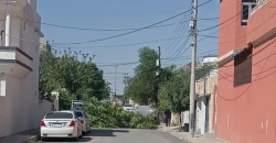 رياح قوية تضرب دربنديخان وتتسبب بأضرار في شبكة الكهرباء (صور)