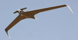 Iran downs Orbiter reconnaissance drone over Hormuz