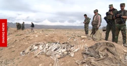 DNA testing to begin on 60 Sinjar remains