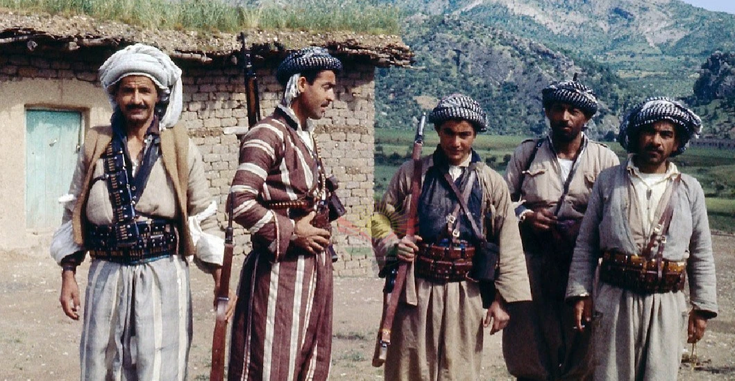 (مقال) هيئة المرشدين الصحيين- 1974