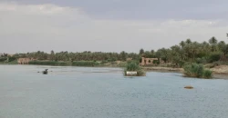 مجاري هيت تهدد مياه نهر الفرات وبيئة الأنبار تتدخل لحل المشكلة