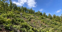 Duhok villagers report logging near Turkish military posts