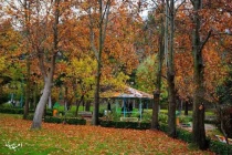 هەواخوای نەمریگ