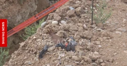 Duhok teams clear 15% of Balanda minefield