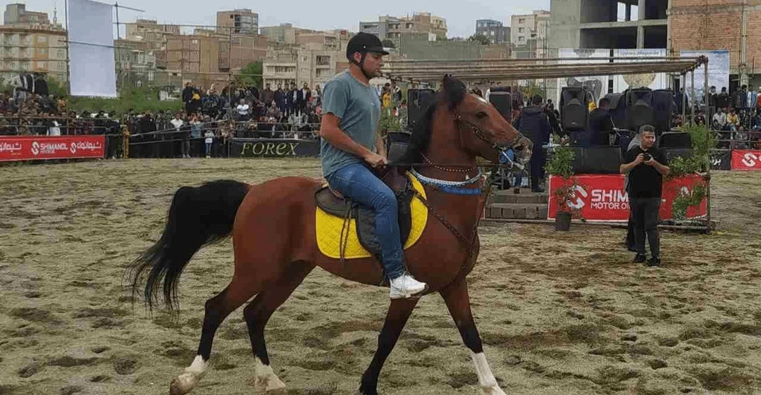 كوردستان الايرانية تستضيف الدورة الرابعة من مهرجان "شو سواره" للخيول الكوردية