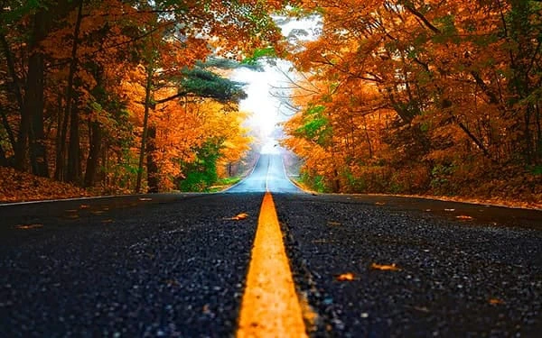 دونیای بی بن