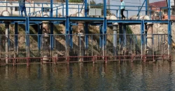 Coliform bacteria detected in Babil drinking water
